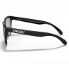 Oakley Frogskins Polished Black Oakley Frogskins Polished Black