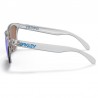 Oakley Frogskins Crystal Clear Oakley Frogskins Crystal Clear