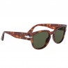 Persol 3231 Havana Persol 3231 Havana
