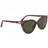 Persol 3251S Havana Persol 3251S Havana
