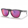 Oakley Frogskins Carbon Fiber Oakley Frogskins Carbon Fiber