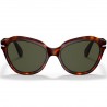 Persol 0582S Havana Persol 0582S Havana