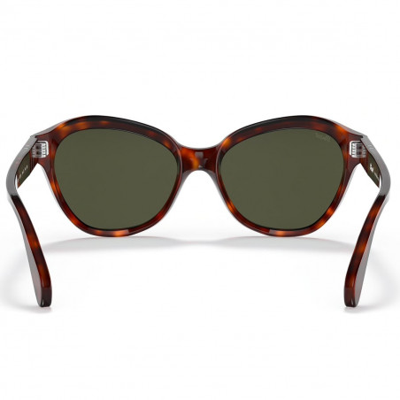 Persol 0582S Havana Persol 0582S Havana