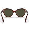 Persol 0582S Havana Persol 0582S Havana