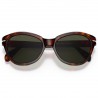Persol 0582S Havana Persol 0582S Havana