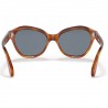 Persol 0582S Terra di Siena Persol 0582S Terra di Siena