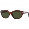 Persol 3250S Havana Persol 3250S Havana