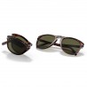 Persol 0714 Havana Steve McQueen Persol 0714 Havana Steve McQueen