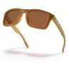 Oakley Holbrook Troy Lee Designs Red Gold Shift Oakley Holbrook Troy Lee Designs Red Gold Shift