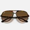 Ray Ban Cats 5000 Shiny Avana Ray Ban Cats 5000 Shiny Avana