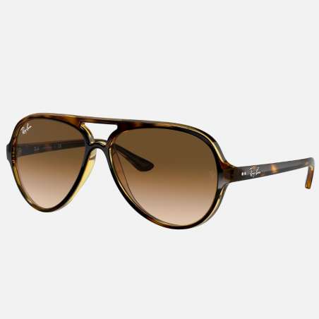 Ray Ban Cats 5000 Shiny Avana