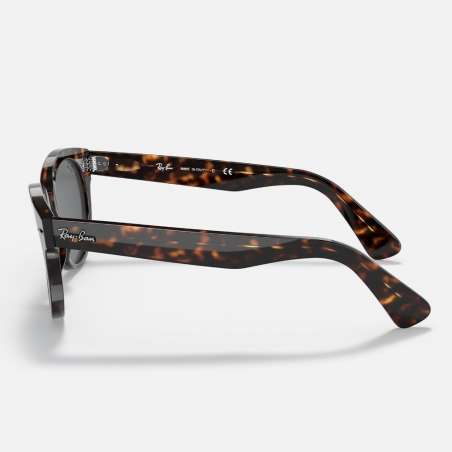 Ray Ban Orion Tortoise