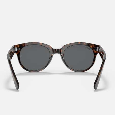 Ray Ban Orion Tortoise