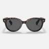 Ray Ban Orion Tortoise Ray Ban Orion Tortoise