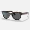 Ray Ban Orion Tortoise Ray Ban Orion Tortoise