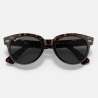 Ray Ban Orion Tortoise Ray Ban Orion Tortoise