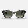 Ray Ban Orion Grey Havana Ray Ban Orion Grey Havana