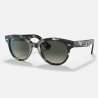 Ray Ban Orion Grey Havana Ray Ban Orion Grey Havana
