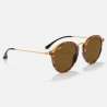 Ray Ban Round Spotted Brown Havana Ray Ban Round Spotted Brown Havana