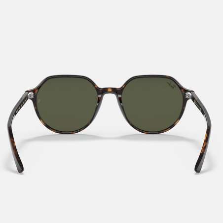 Ray Ban Thalia Havana