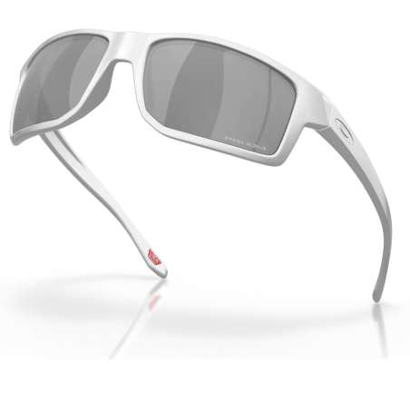 Oakley Gibston X-Silver