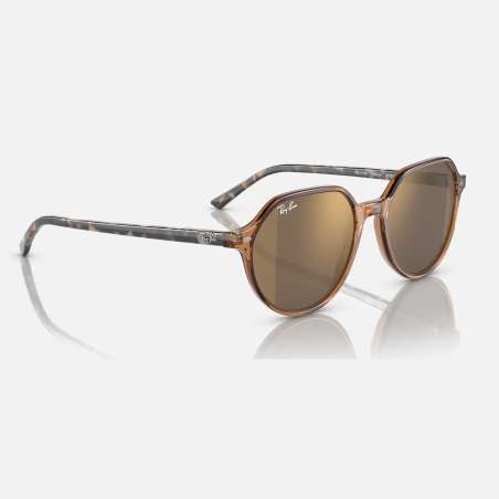 Ray Ban Thalia Transparent Brown