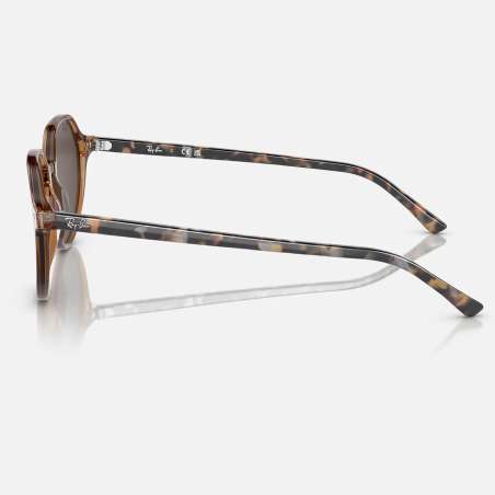 Ray Ban Thalia Transparent Brown