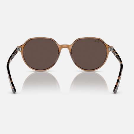 Ray Ban Thalia Transparent Brown