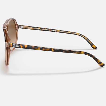 Ray Ban Bill Havana on Transparent Brown