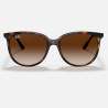 Ray Ban RB4378 Havana Ray Ban RB4378 Havana
