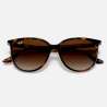 Ray Ban RB4378 Havana Ray Ban RB4378 Havana
