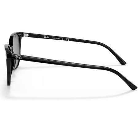 Ray Ban Elliot Black