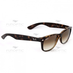 New Wayfarer Ecaille Havane