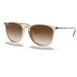 Ray Ban Erika Classic Transparent Light Brown