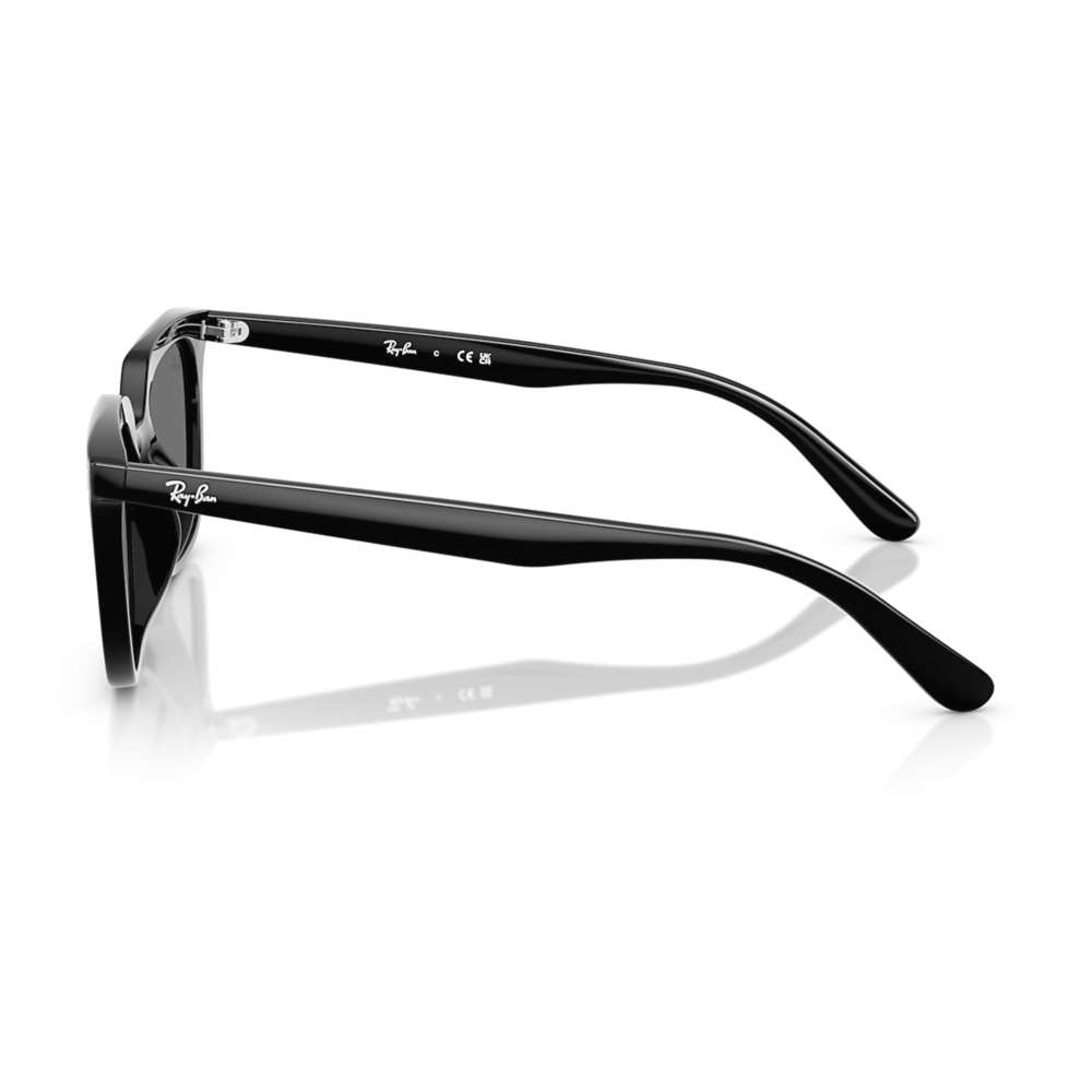 Ray Ban 4439D Noir