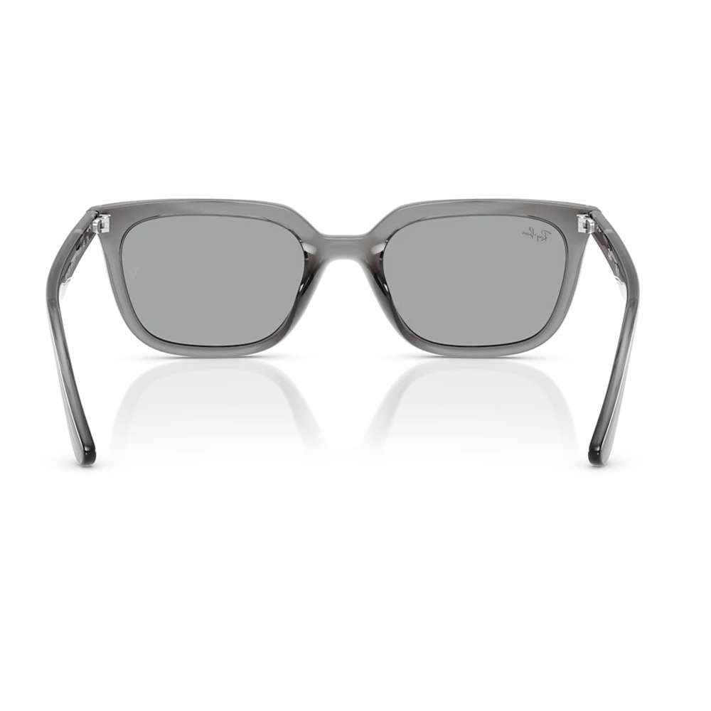 Ray Ban 4439D Transparent Grey