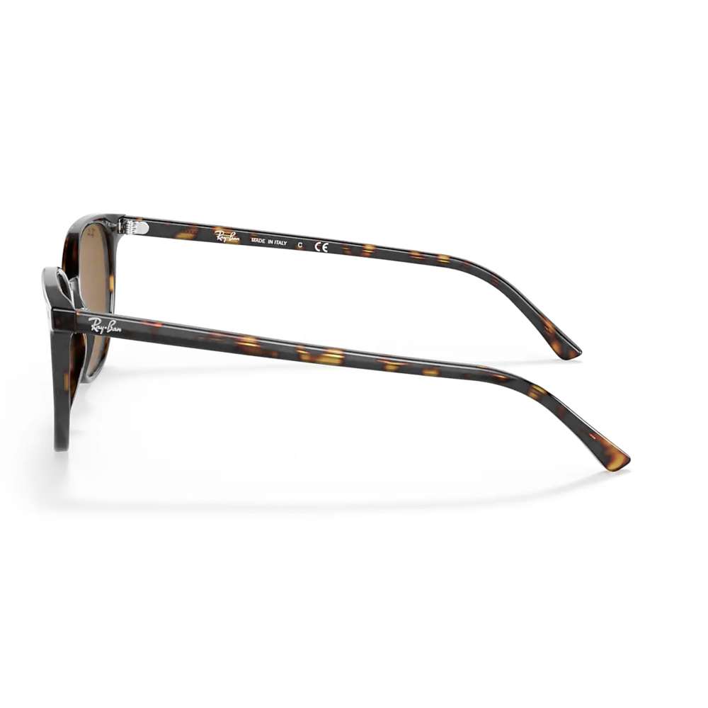 Ray Ban Elliot Havana