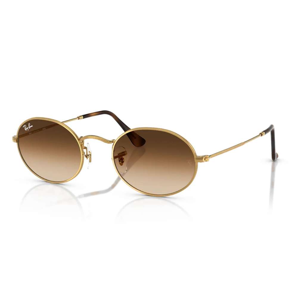 Ray Ban Oval Metal Arista - Brun Dégradé