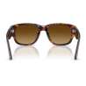 Persol 3380 Havana Persol 3380 Havana