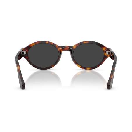 Persol 3378 Havana Persol 3378 Havana