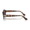 Persol 3378 Madreterra Persol 3378 Madreterra