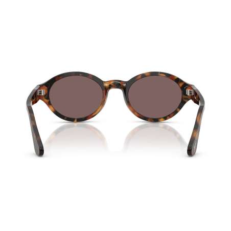 Persol 3378 Madreterra Persol 3378 Madreterra