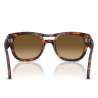 Persol 0064 Havana