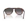 Persol 0649 Havana - Black Arrow - Polar