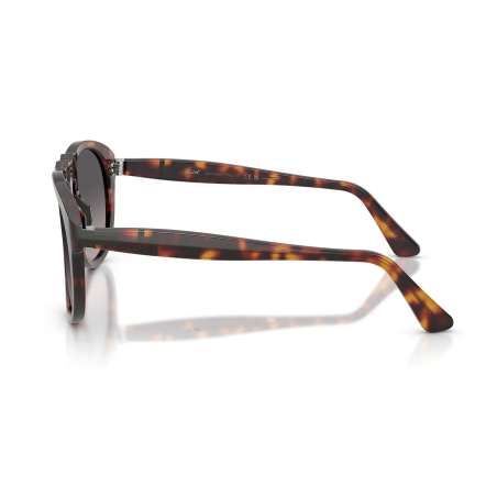 Persol 0649 Havana - Black Arrow - Polar