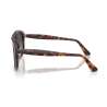 Persol 0649 Havana - Black Arrow - Polar