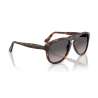 Persol 0649 Havana - Black Arrow - Polar
