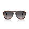 Persol 0649 Havana - Black Arrow - Polar