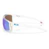 Oakley Gibston XL Clear