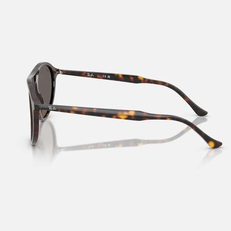 Ray Ban 2215 Havana